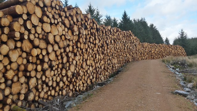 timber stack by the road logs