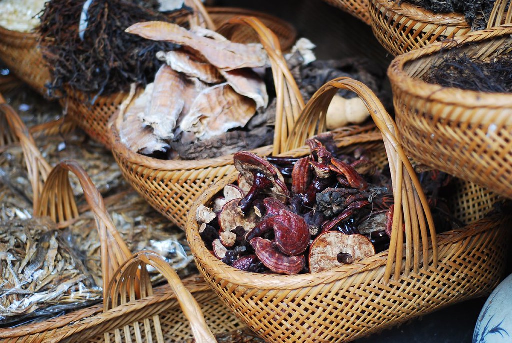 baskets full of wild mushrooms