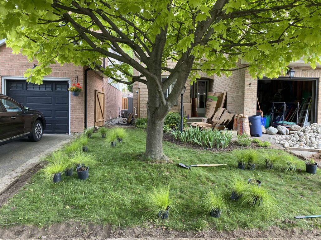 edging front yard garden