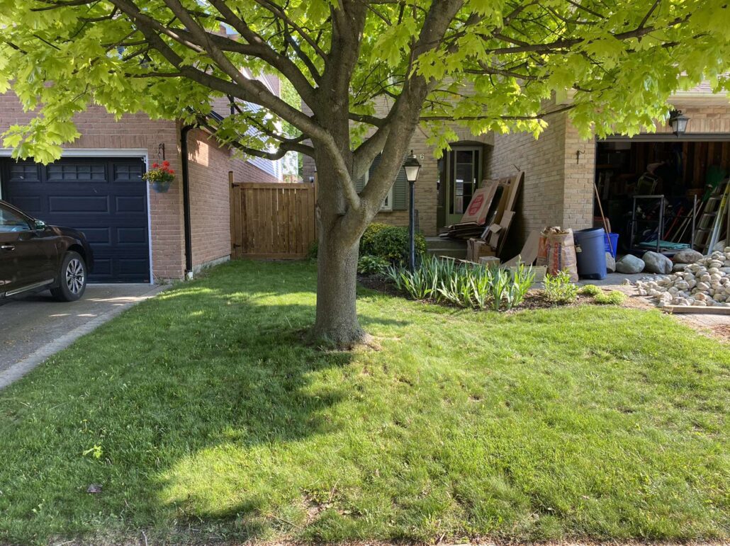 before picture front yard garden design