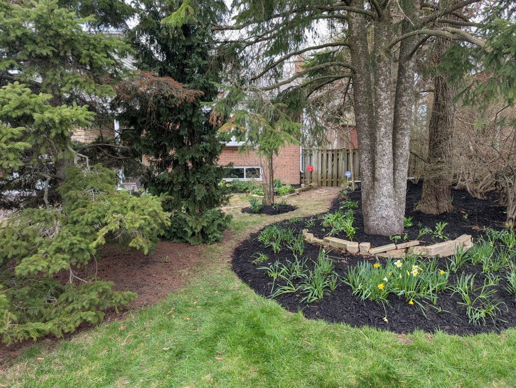spring cleanup and mulch job garden